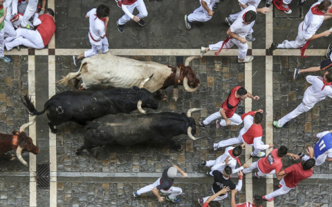 San Fermín (Pamplona Bull Run)
