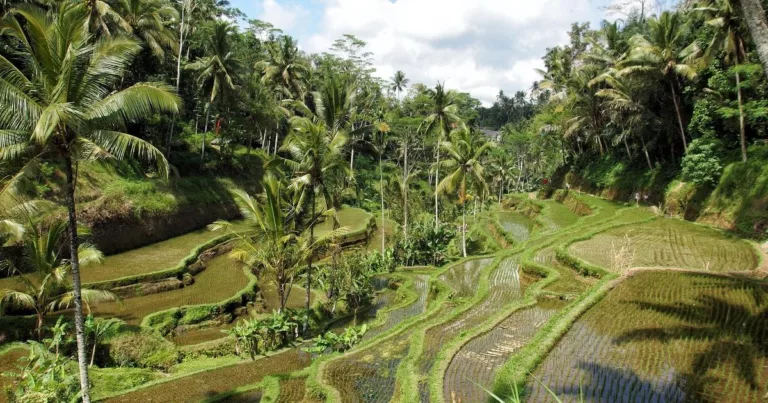 ubud indonesia