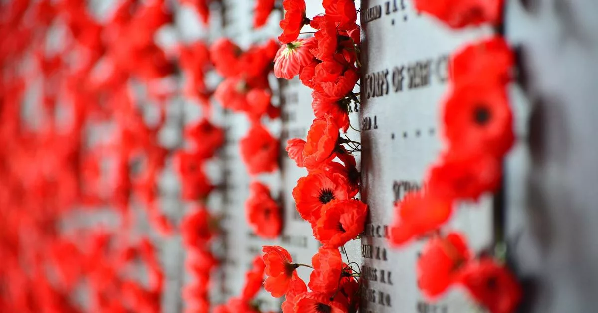 Red poppies placed on the Canberra War Memorial wall in remembrance